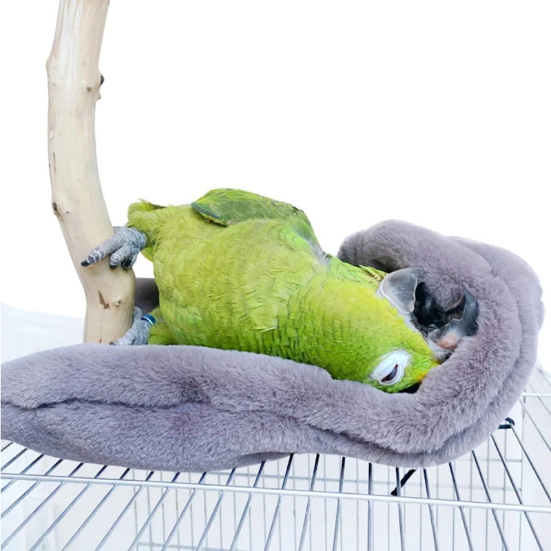 Decoration For Parakeet Loros Accesorios