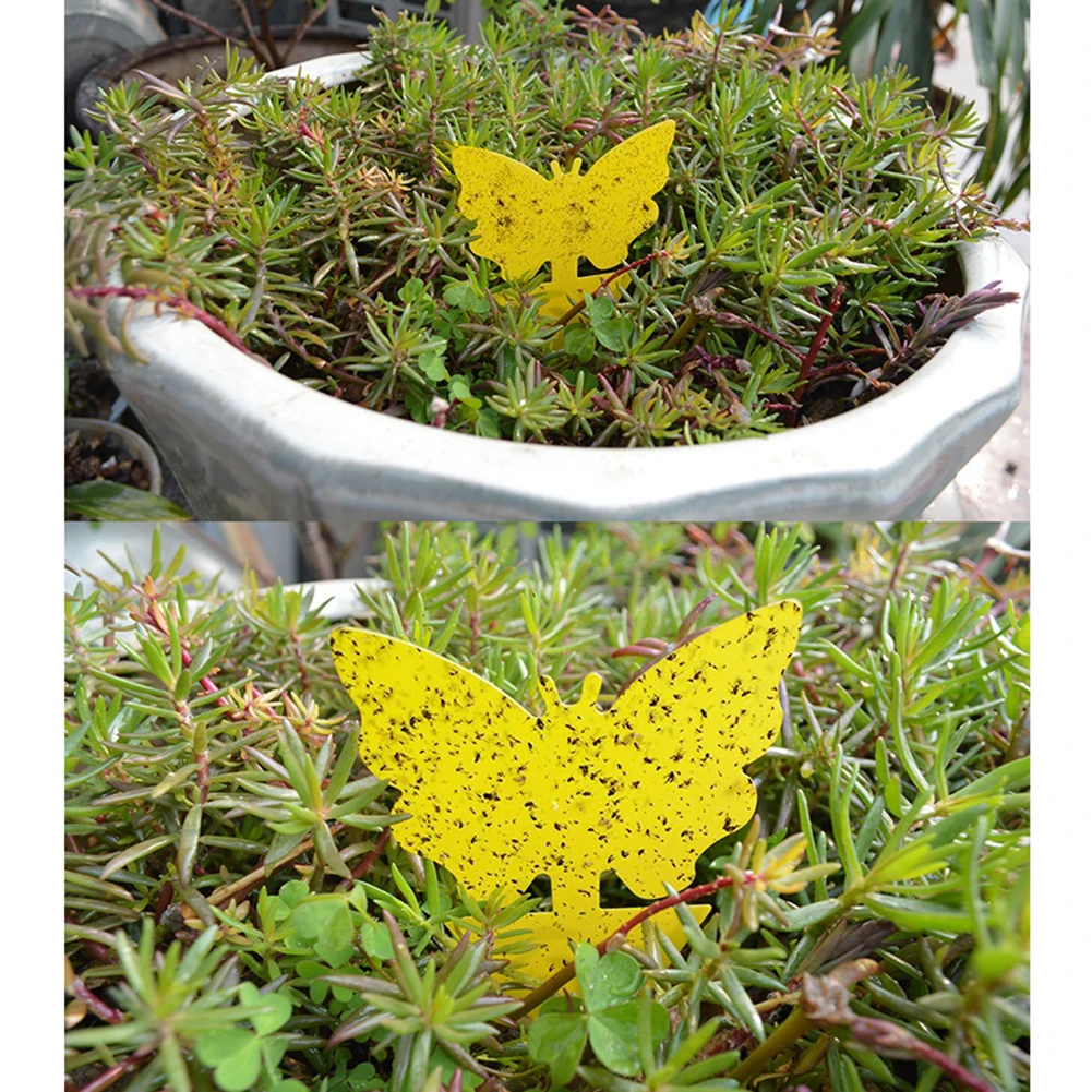 50 шт. двухсторонняя желтая липкая ловушка мух для насекомых деревянная доска