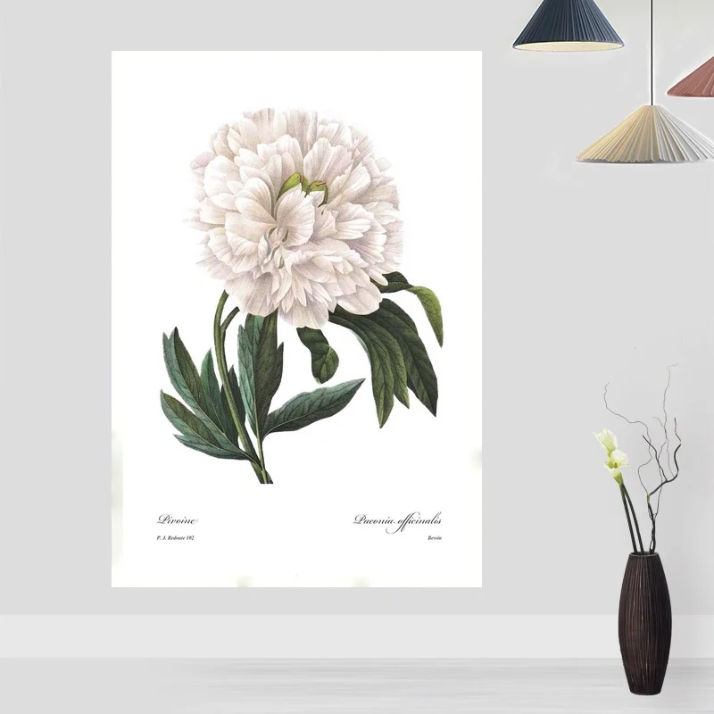 

Botanical Flower Poster Silk Print Home Decor Wall Art Decor No Frame