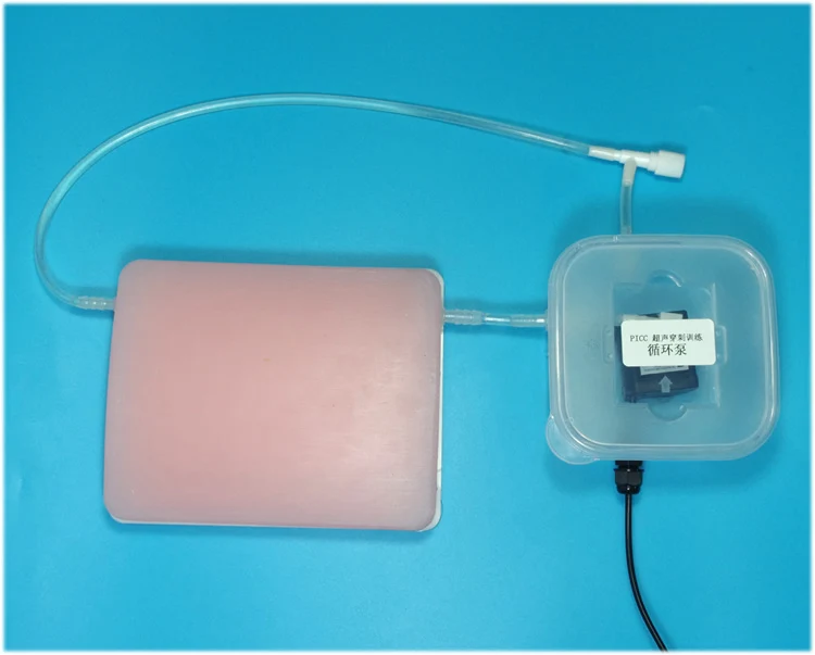 

Ultrasound-guided vascular puncture model PICC B-interventional training Puncture module