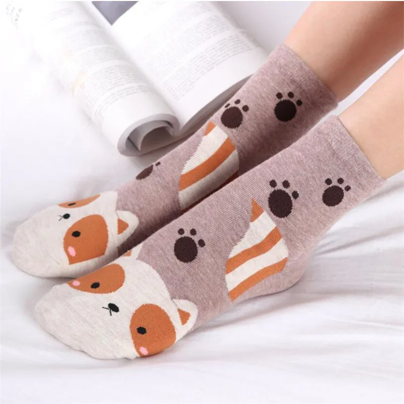 MYORED 5 пар женские Мультяшные хлопковые носки с принтом животных забавные