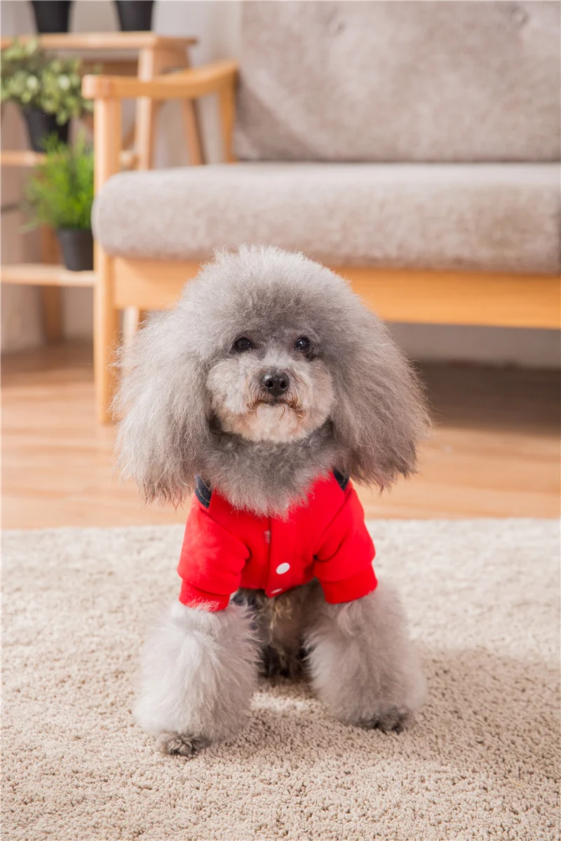 Hipidog Новое поступление мультяшная Одежда для собак для маленьких комбинезон для собак Прямая поставка