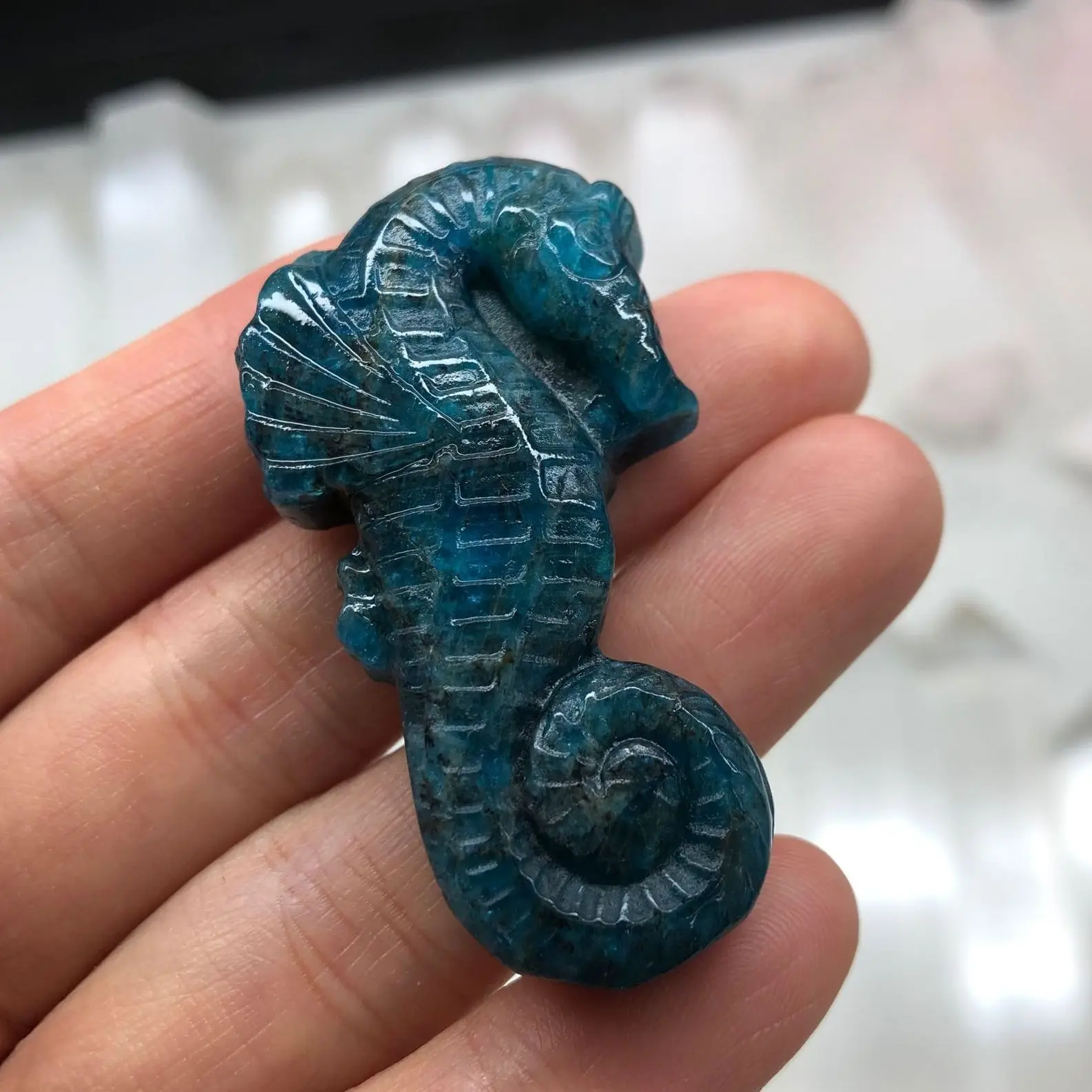 

Seahorse Aquarium Ornament Blue sea horse Fish Tank Decor Sea Horse Hippocampal for Park Home Decoration