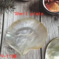 natural conch shells butterfly caviar shells bowl dish seasoning sauce