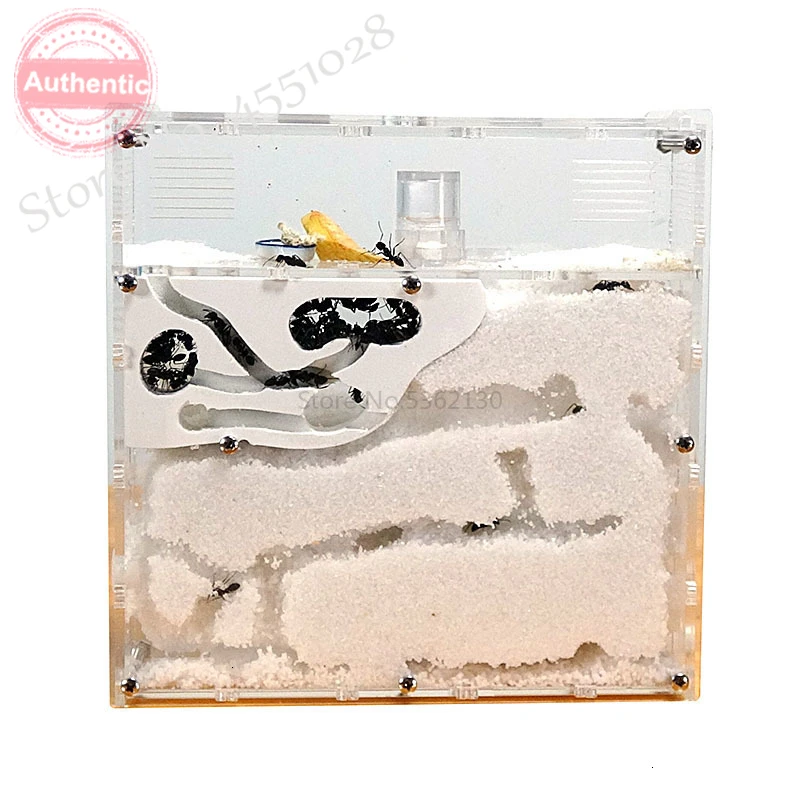 Новая мастерская для муравьев экологичное акриловое гнездо песчаное песчаный