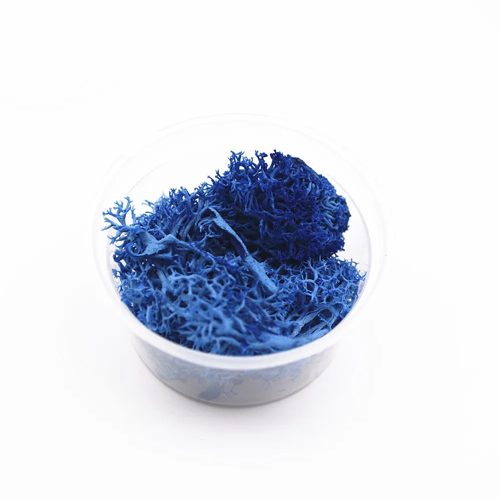 dark blue 1 коробка 2-2,5 грамм серьги цвета мха из натурального агата microlandschaft наполнитель для стеклянного глобуса силиконовая форма DIY ювелирных изделий ремесло materia - Цвет: dark blue