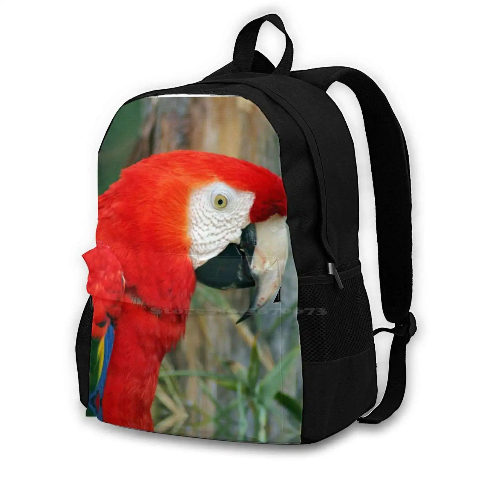 

Macaw Ara Travel Laptop Bagpack School Bags Bird Portrait Wild Macaw Ara Red Nature Natural Green