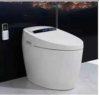 

Automatic intelligent toilet