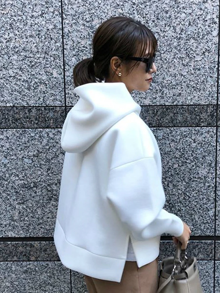 

Spring Autumn Women High Neck Hoodies 2020 New Fashion Thick Warm Loose Hooded Sweatshirts Female Casual Solid Pullovers Tops