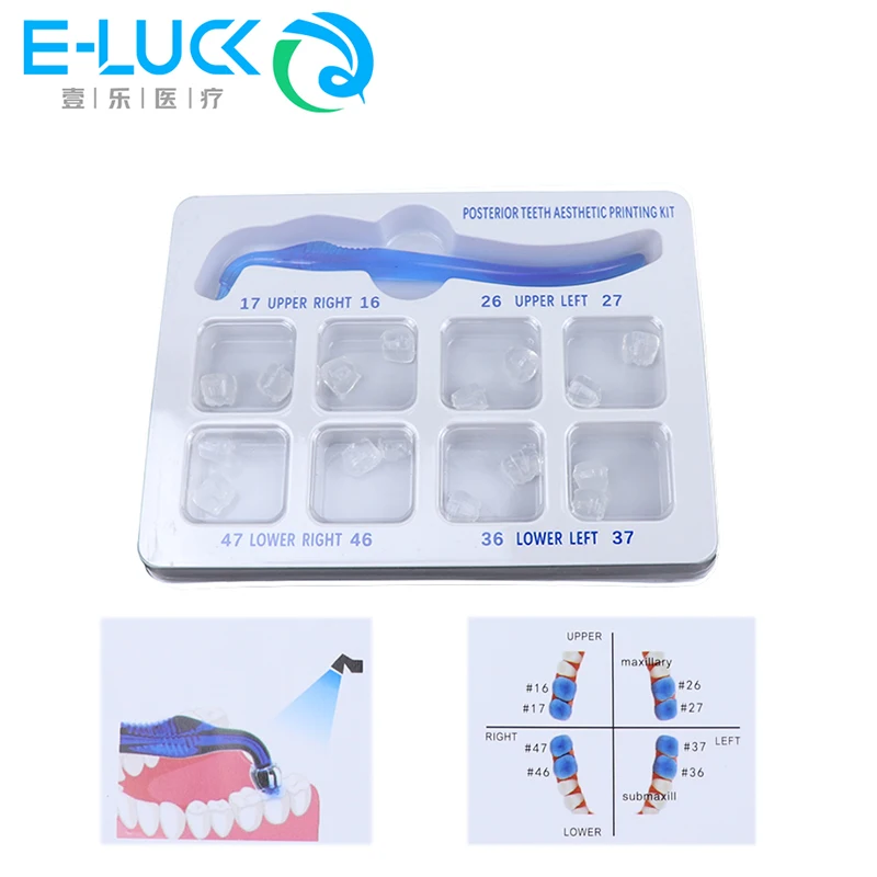 Dental Posterior Teeth Aesthetic Printing Kit Dentistry Reshape Resin Fissure Printing Stamp Posterior Teeth Molding Impres