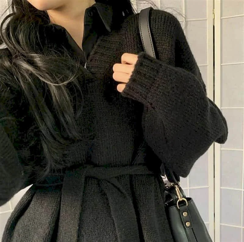 

New Autumn Apring Two Pieces Suits Women Solid Shirts Preppy Style Loose Long Sleeves Normcore Sweater And Blouse Women Sets