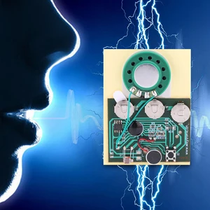 30s Sound Voice Audio Recordable Music Recorder Board Module Chip Programmable Music Module for Greeting Card DIY