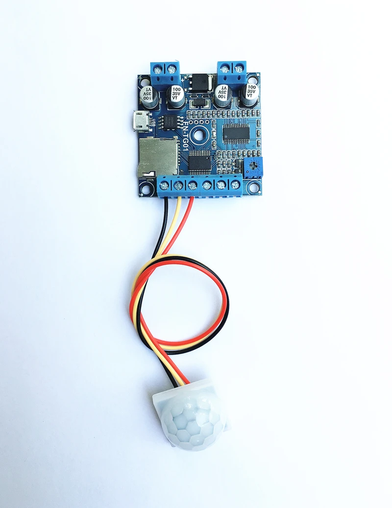 Аудиомодуль MP3 15 Вт срабатывающий с PIR датчиком движения синхронной выходной