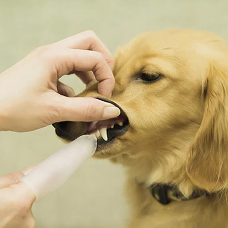 Мягкая зубная щетка на палец для домашних животных 6 шт. маленьких собак и без