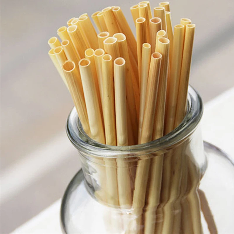 

1100 Pcs Natural Wheat Straw Kitchen Bar Tool Accessories Straws Biodegradable Eco-Friendly Portable Drinking Straw