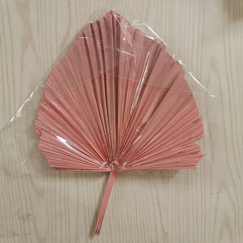 

1PC Dyeing Fan Leaf Dried Flower Plants Leaves DIY Home Wedding Decoration Flower Arrangement Materials
