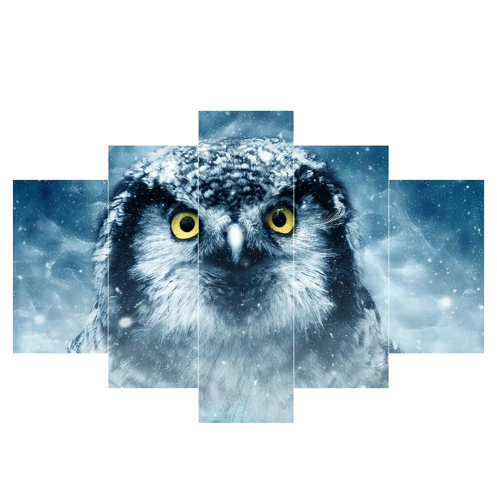 

Print 5 canvas artwork posters and print murals viewing owl scenery modular living room home decoration framework animal