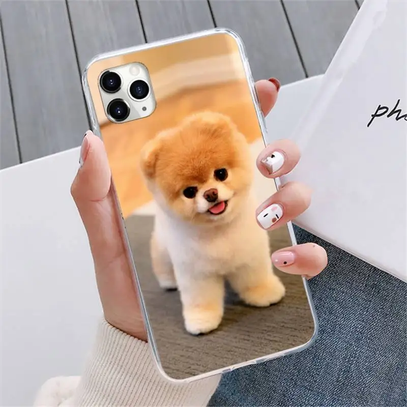 

Pomeranian dog cute Phone Case For iphone 12 5 5s 5c se 6 6s 7 8 plus x xs xr 11 pro max mini