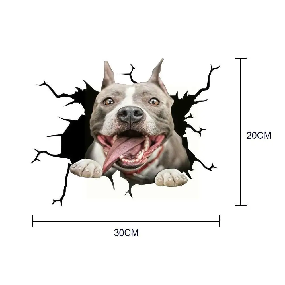 

New Car Crack Sticker Personalized Car Stickers Bumper 3d Funny Anime Tail Car Paper Stereo Sticker Stickers Creative Door X0F2