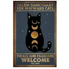 Для Wayward, кошки, фермалы и фамилии, Черный кот, плакат, жестяной знак, металлический жестяной знак, Настенный декор для баров, ресторанов, кафе, пабов