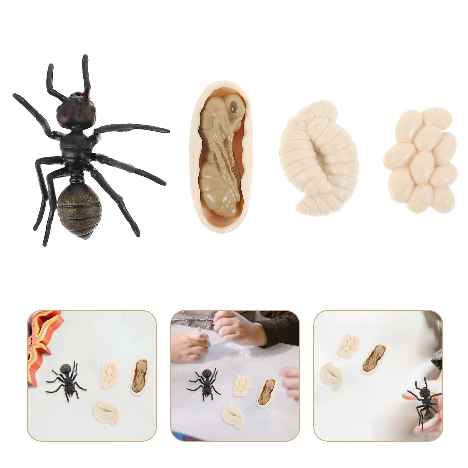 

1 set of Ant Figurine Ant Prank Funny Ant Models Educational Models