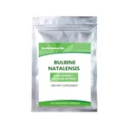 100% чистый и сертифицированный порошок BULBINE NATALENSIS 10:1 с высокой мощностью, 100 капсул!