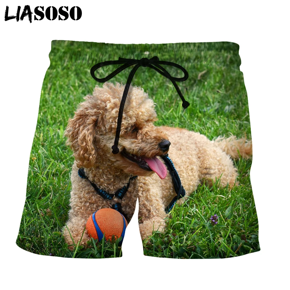 

LIASOSO Poodle Animal 3D Printing Men Women New Pants Beach Sweatpants Shorts Fashion Casual Oversized Comfortable Sports Wind