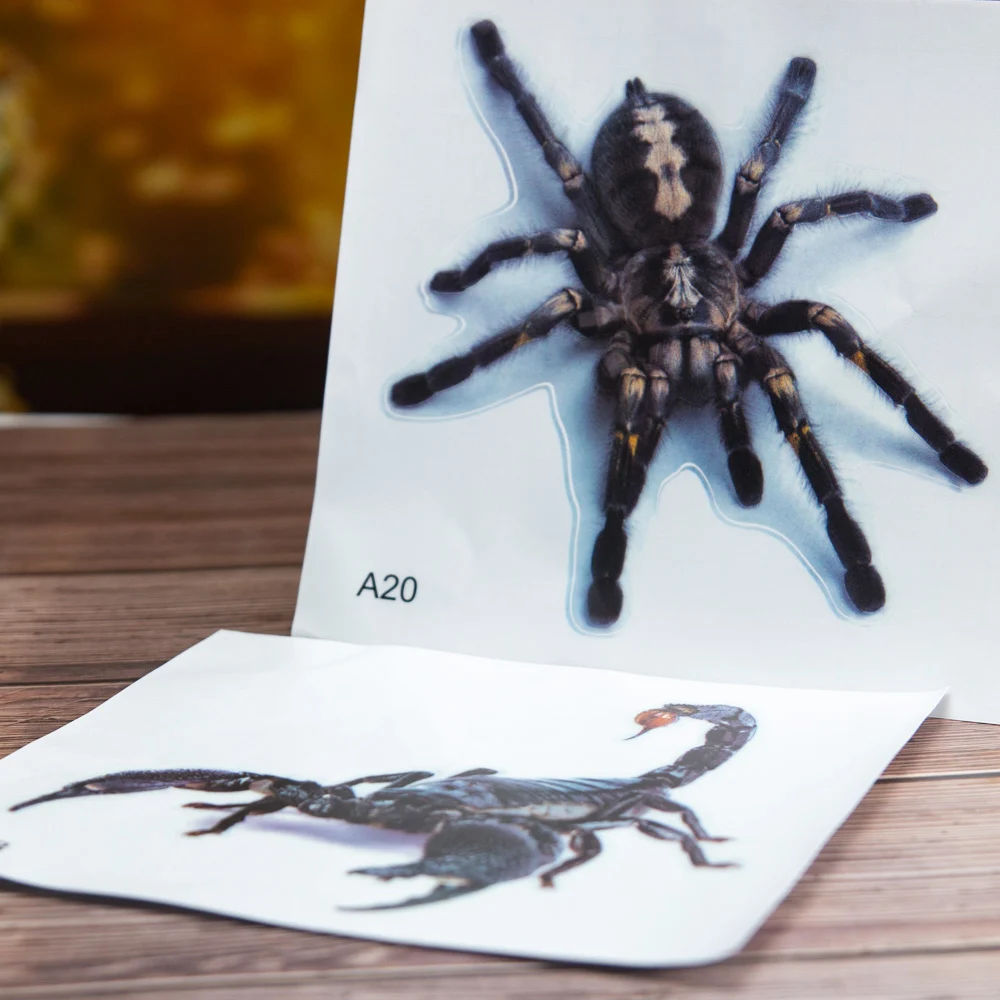 3D наклейки с животными на стену паук ящерица Скорпион виниловая Автомобильная