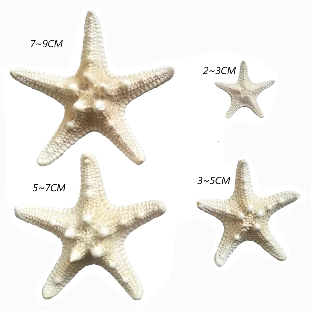 20 шт. белые натуральные морские звезды|Ракушки и звезды| |