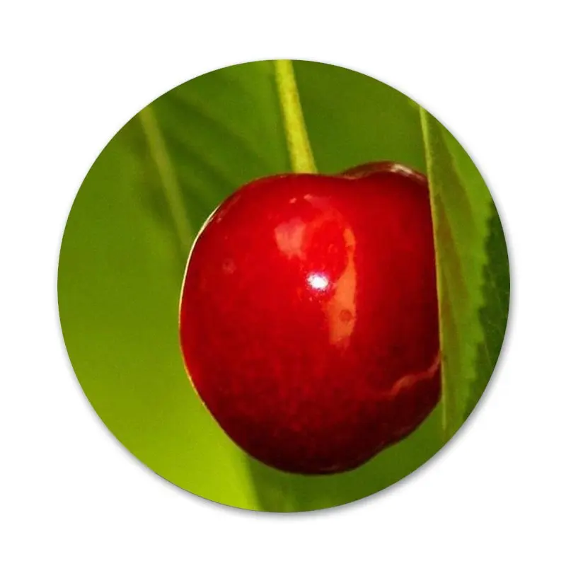 

Cherry summer fruits Badge Brooch Pin Accessories For Clothes Backpack Decoration gift