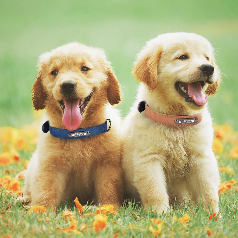 

10 Pieces Personalized Leather Dog Collar Free Engraved Name ID Puppy Collar Tags XS S M L Pet Collar Custom Dog Collar