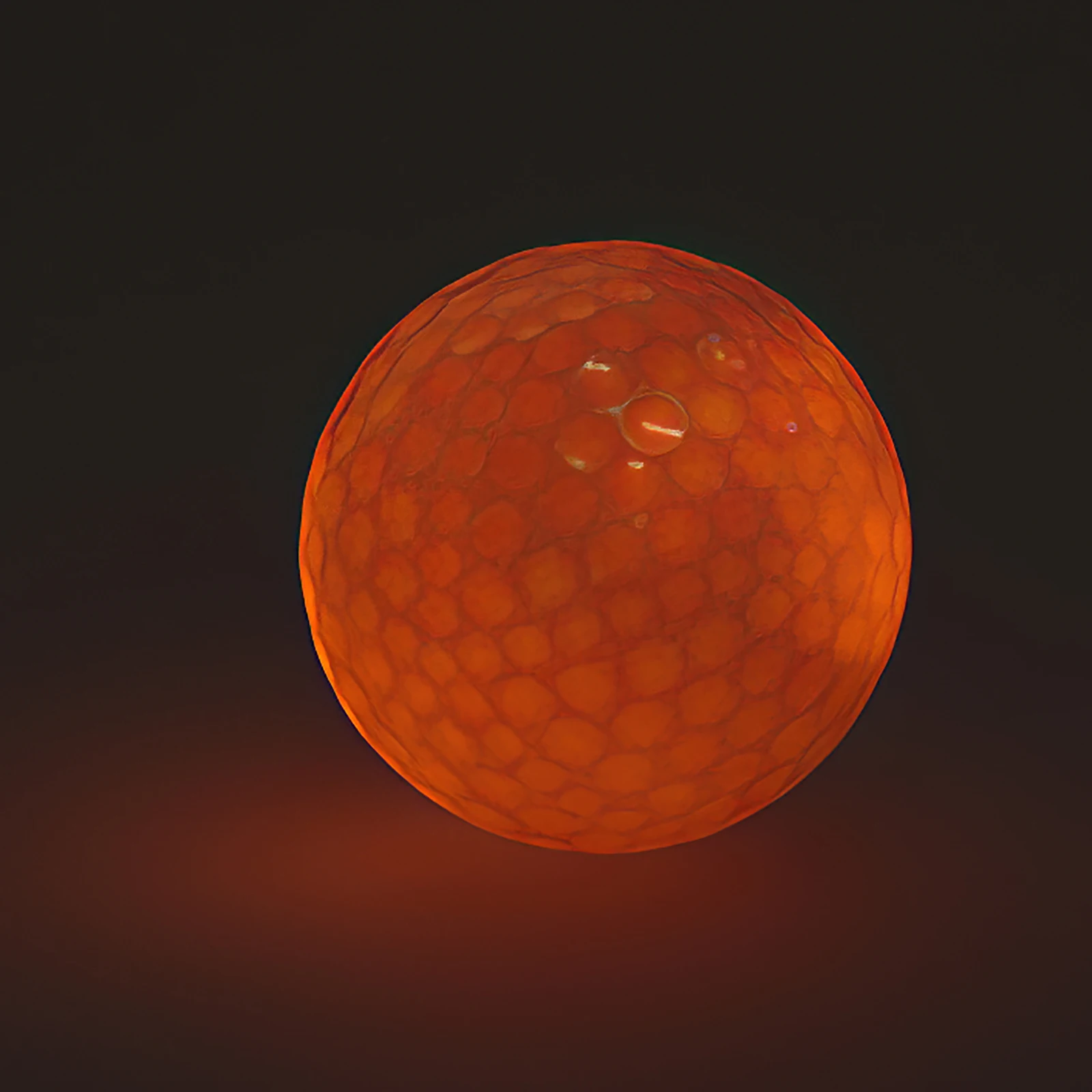 

Light Up LED Golf Ball Flashing Glow In The Dark Practice Golf Balls Night Training Supplies Luminous Golf Balls Accessories