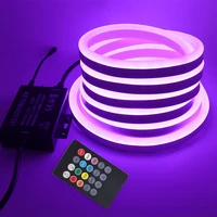 neon sign led strip light rgb music bluetooth app20key remote control 220v 110v rope lights ip67 waterproof flexible led ribbon