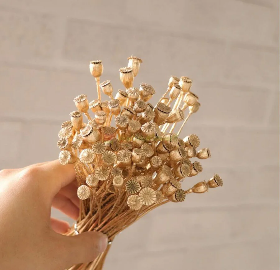 1 букет сушеных папировских Маков 30 г цветы для рукоделия Подарочный материал