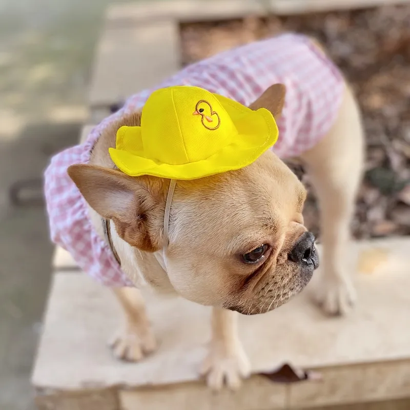 Yellow Little Duck Dog Hat Summer Puppy Sun Pet Photo Cute Diameter 14 cm | Дом и сад