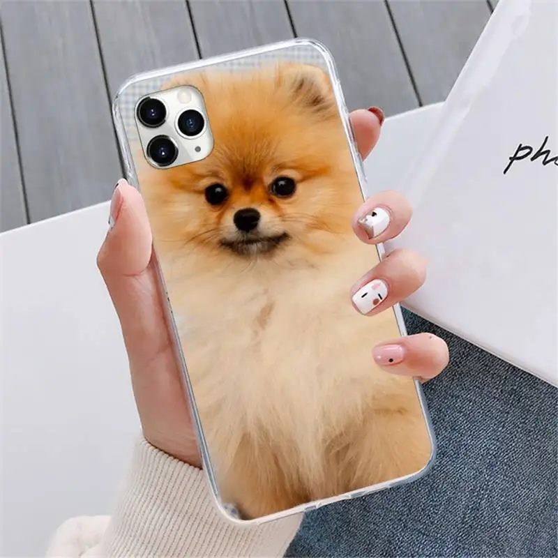 

Pomeranian dogs dog Phone Case For iphone 12 5 5s 5c se 6 6s 7 8 plus x xs xr 11 pro max mini