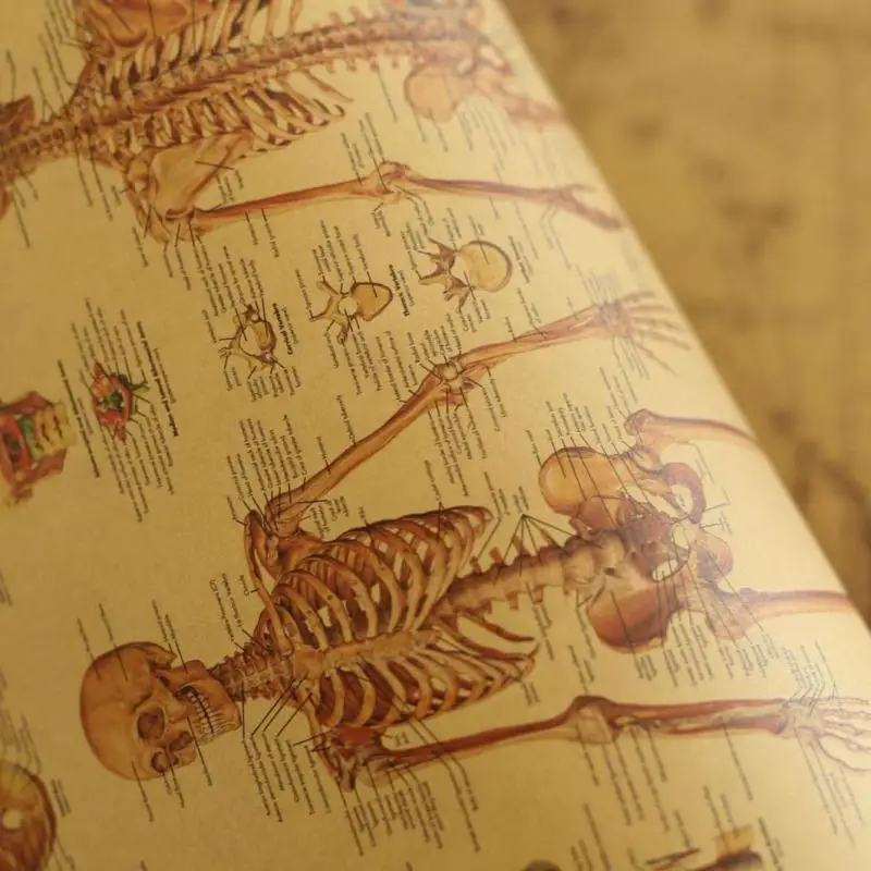 Настенный постер из крафт-бумаги с изображением человеческого тела товары для