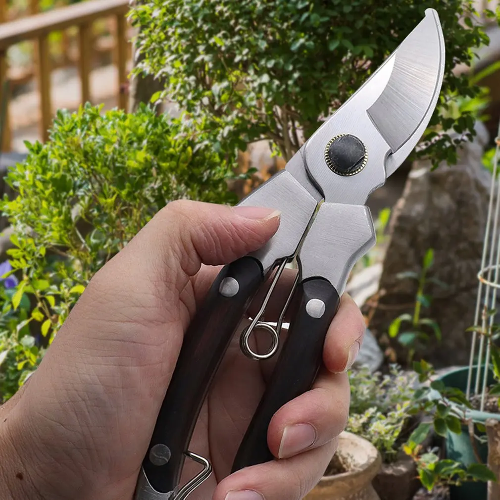 

Stainless Steel Fruit Pruning Scissors Flower Garden Trimming Scissors Branch Scissors Household Scissors