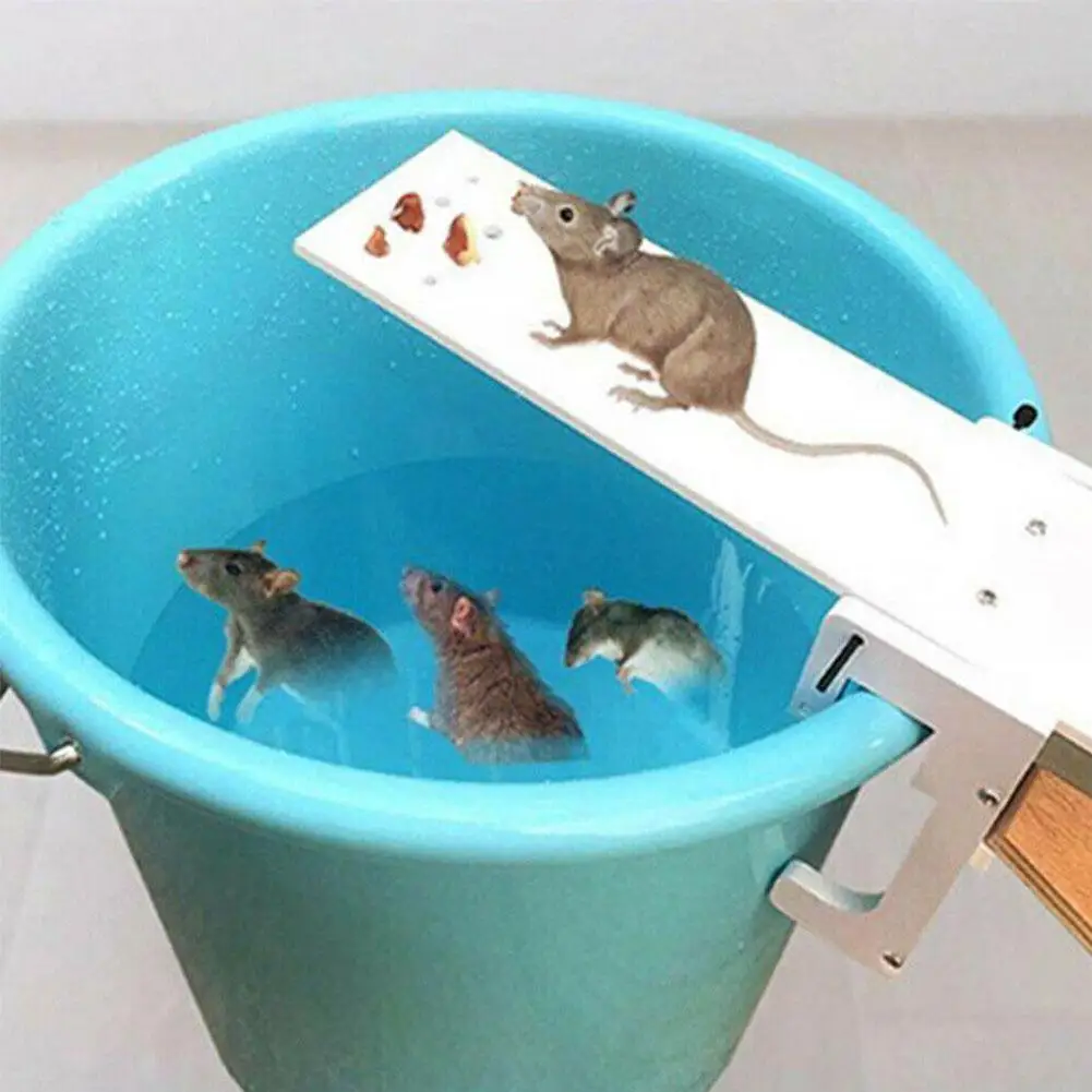 

Non-toxic Rat Trap Seesaw Mouse Catcher Bait Killer Mice Traps Mouse Pest Mice Traps DIY Home Garden Pest Controller