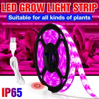 led plant grow light strip usb phyto flower seeds lamp 0 5m 1m 2m 3m full spectrum hydroponic fitolamp greenhouse grow tent bulb