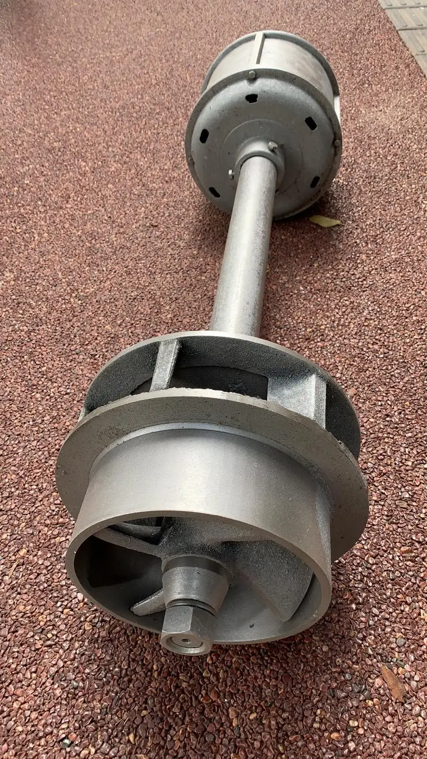 Однофазный Осевой поток возбуждения синхронный гидроэлектрический генератор