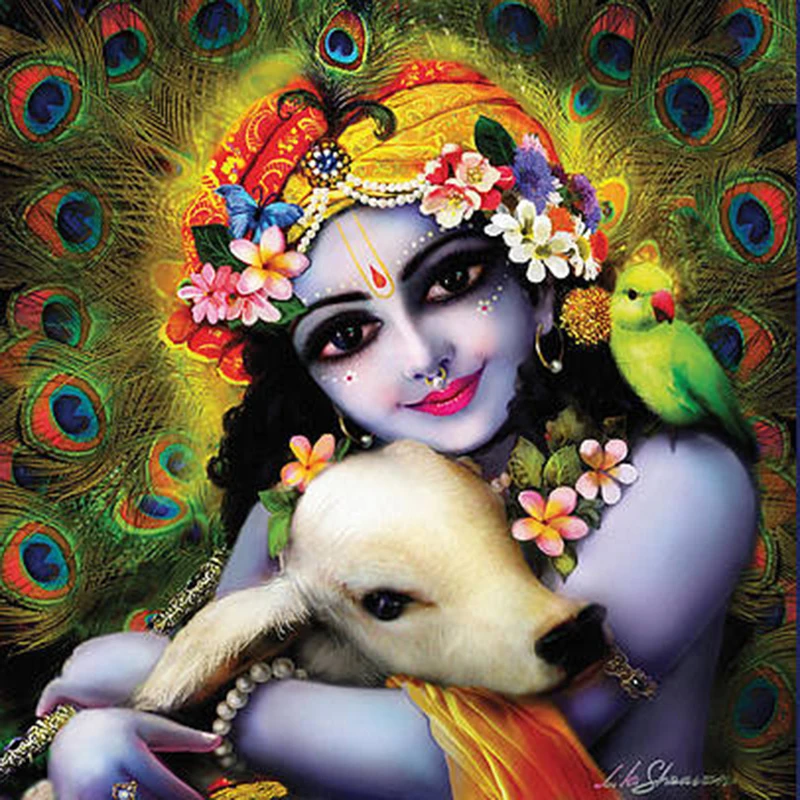 Diy Алмазная картина Krishna наборы крестиков рукоделие Стразы мозаика 5D Вышивка
