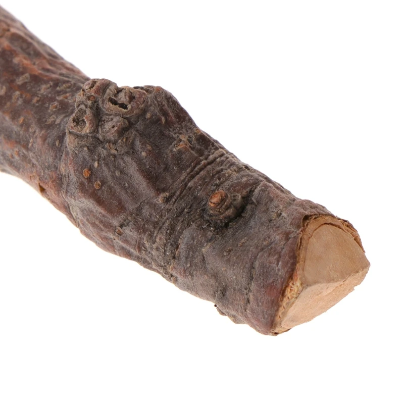 Жевательная палочка 5 шт. яблоко ветка дерева хомяк белка натуральные