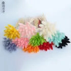 Засушенные цветы, хвост кролика, 20 шт.