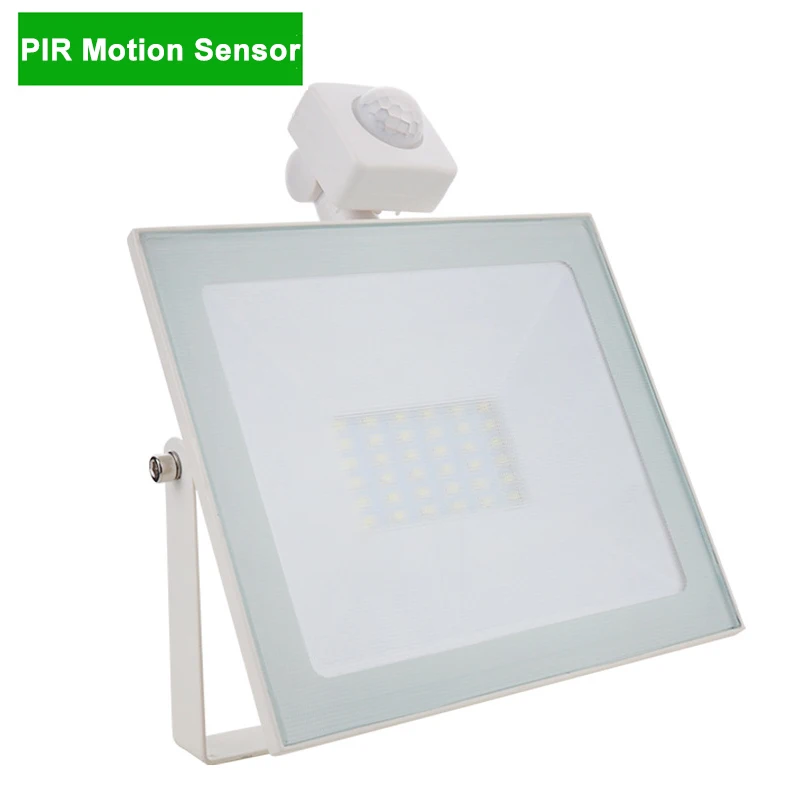 PIR Motion Sensor 50 Вт Светодиодный светильник с датчиком движения, водонепроницаемый, AC110V 220 В, PIR Светодиодный светильник с прожектором, лампа для наружного прожектора, Точечный светильник для сада ZFG0008 - Испускаемый цвет: PIR Motion Sensor