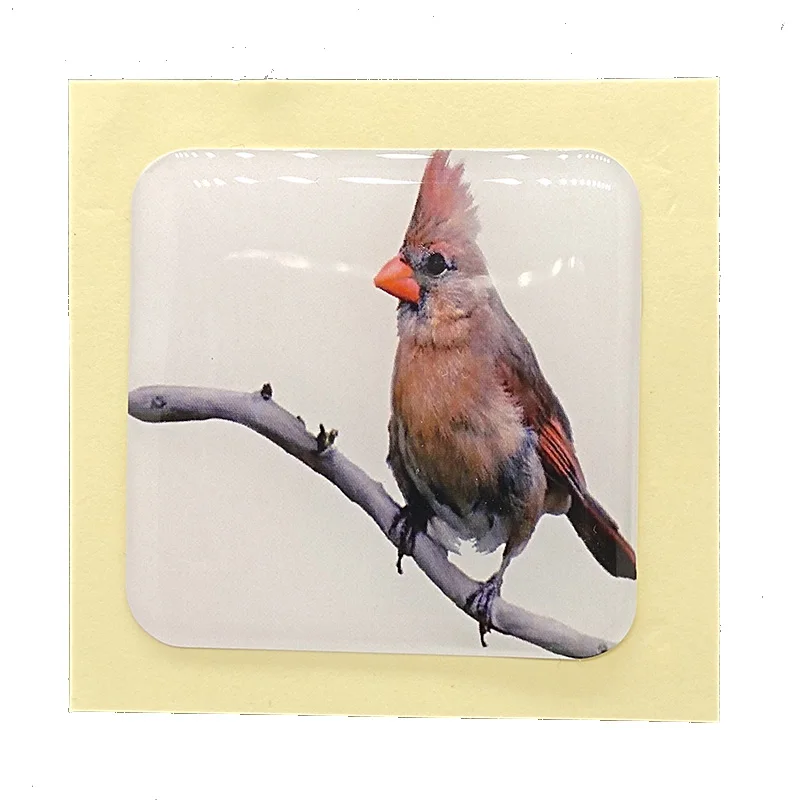 

Custom vinyl sticker label printing for product label
