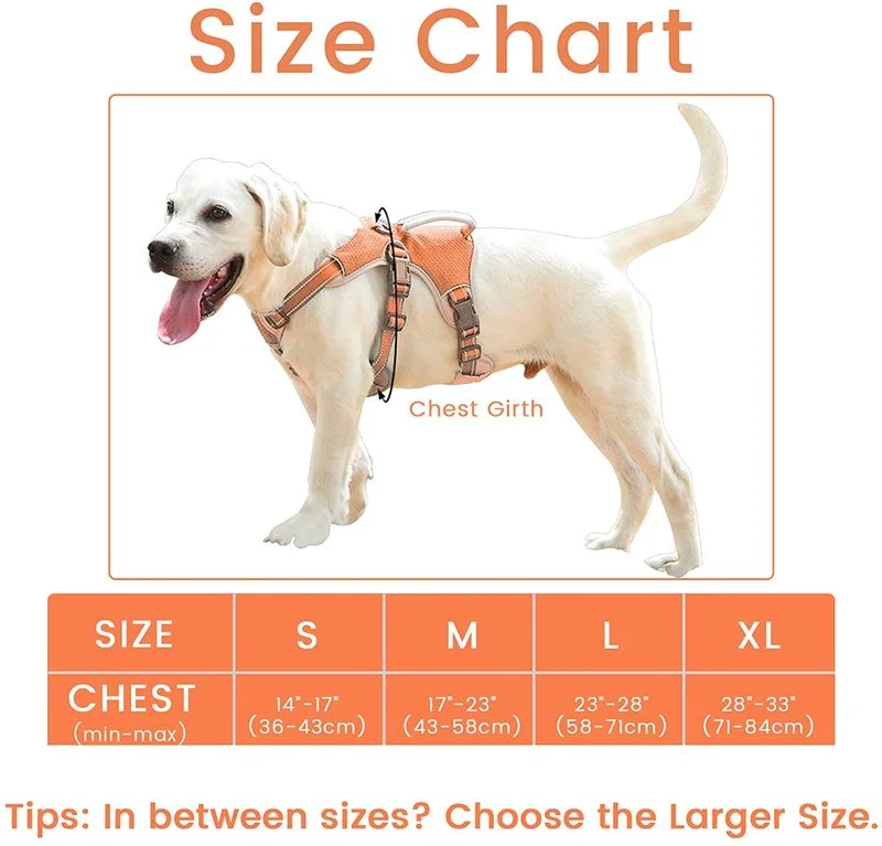 

Reflective Nylon Large Dog Harness With Handle Adjustable No Pull Big Dog Harness Training Vest dog supplies