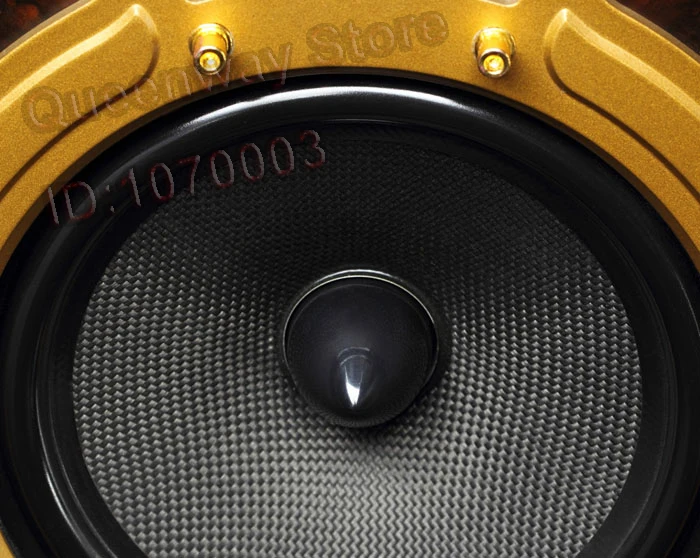 HIVI Swans F8 домашний кинотеатр античный HiFi система передняя центр F10C задняя F10R