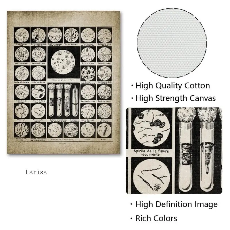 Постер с бактериями и микробами винтажные принты бактерии биология настенное