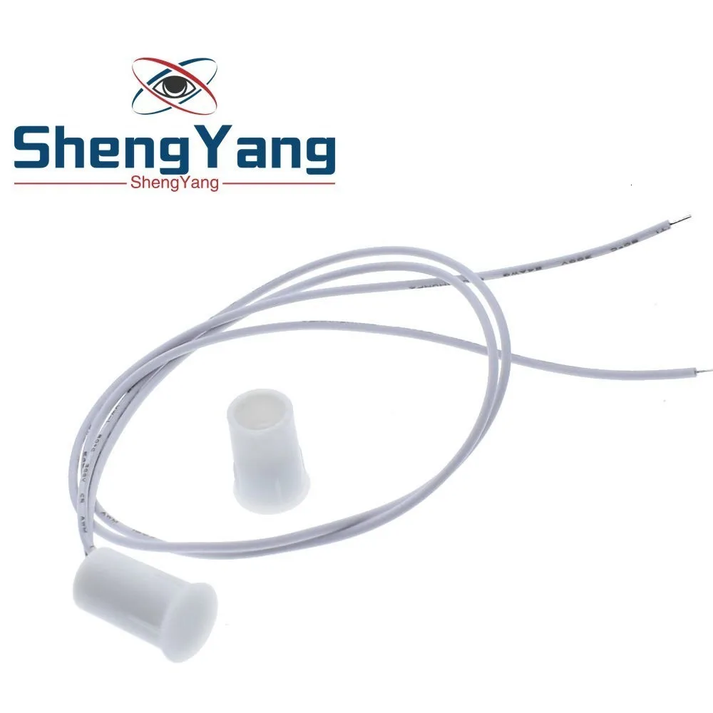 ShengYang, 1 пара, RC-33, встраиваемая дверь, магнитный переключатель, дверной магнит, детектор сигнализации, датчик, домашняя охранная сигнализация, DC 100 в, 300 мА, MC-33